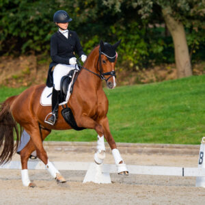 CDI Troisdorf 2023 - autumn