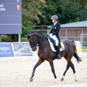 CDI Troisdorf 2023 - autumn