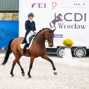 CDI Wroclaw 2023 - autumn