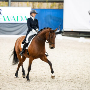 CDI Wroclaw 2023 - autumn