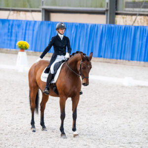 CDI Wroclaw 2023 - autumn