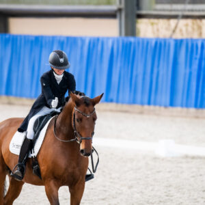 CDI Wroclaw 2023 - autumn