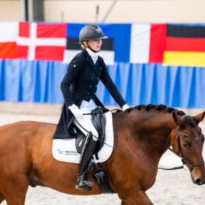 CDI Wroclaw 2023 - autumn