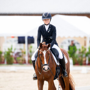 CDI Troisdorf 2023 - autumn