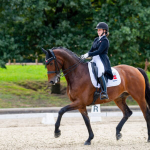 CDI Troisdorf 2023 - autumn