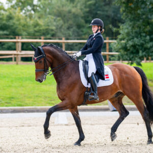 CDI Troisdorf 2023 - autumn