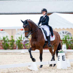 CDI Troisdorf 2023 - autumn