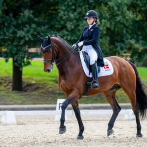 CDI Troisdorf 2023 - autumn