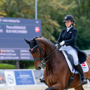 CDI Troisdorf 2023 - autumn