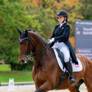 CDI Troisdorf 2023 - autumn