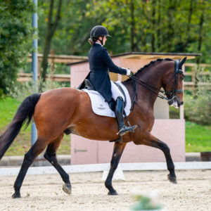 CDI Troisdorf 2023 - autumn