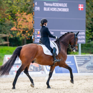CDI Troisdorf 2023 - autumn