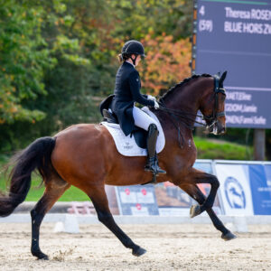 CDI Troisdorf 2023 - autumn