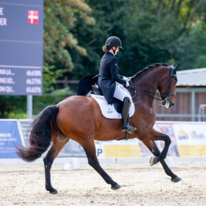 CDI Troisdorf 2023 - autumn