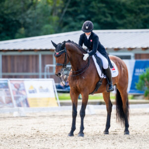 CDI Troisdorf 2023 - autumn