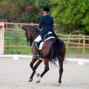 CDI Troisdorf 2023 - autumn