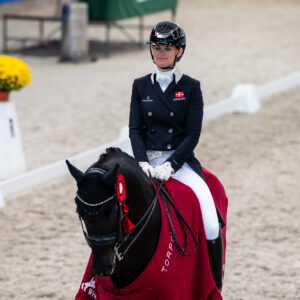 CDI Wroclaw 2023 - autumn
