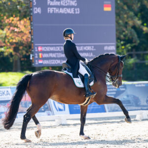 CDI Troisdorf 2023 - autumn
