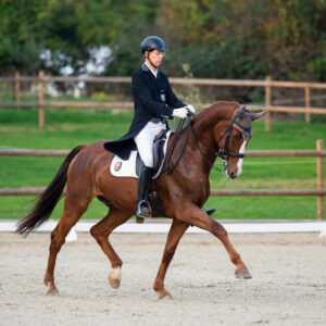 CDI Troisdorf 2023 - autumn