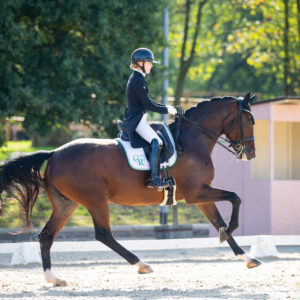 CDI Troisdorf 2023 - autumn
