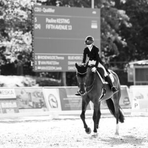CDI Troisdorf 2023 - autumn