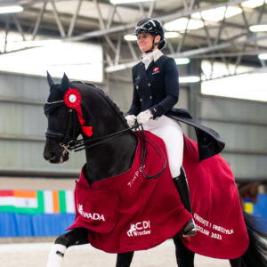 CDI Wroclaw 2023 - autumn