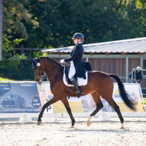 CDI Troisdorf 2023 - autumn