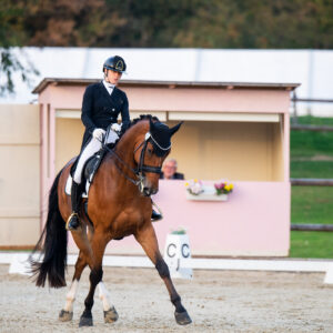 CDI Troisdorf 2023 - autumn