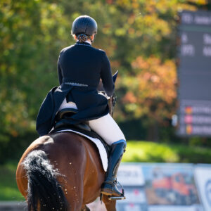 CDI Troisdorf 2023 - autumn