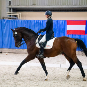 CDI Wroclaw 2023 - autumn