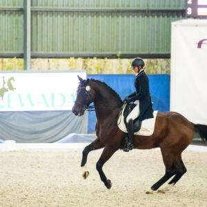 CDI Wroclaw 2023 - autumn