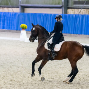CDI Wroclaw 2023 - autumn