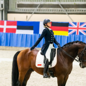 CDI Wroclaw 2023 - autumn