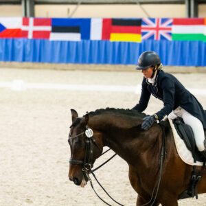 CDI Wroclaw 2023 - autumn