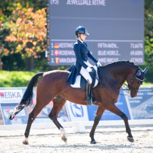 CDI Troisdorf 2023 - autumn