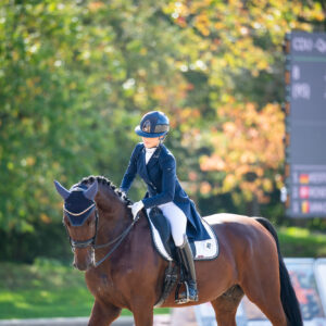 CDI Troisdorf 2023 - autumn