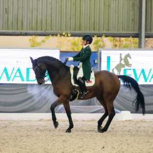 CDI Wroclaw 2023 - autumn