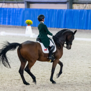 CDI Wroclaw 2023 - autumn