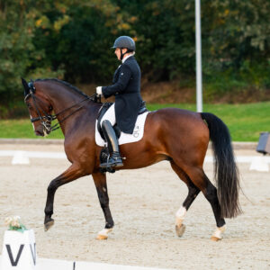 CDI Troisdorf 2023 - autumn