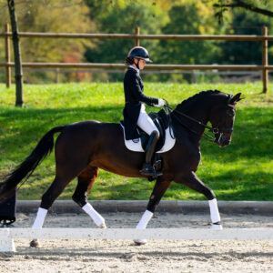 CDI Troisdorf 2023 - autumn