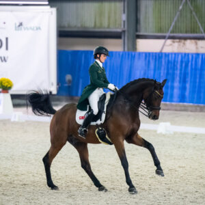 CDI Wroclaw 2023 - autumn