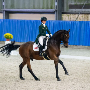 CDI Wroclaw 2023 - autumn
