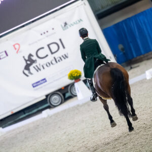CDI Wroclaw 2023 - autumn