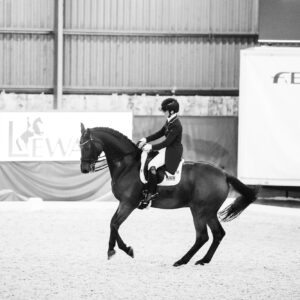 CDI Wroclaw 2023 - autumn
