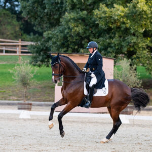 CDI Troisdorf 2023 - autumn
