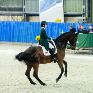 CDI Wroclaw 2023 - autumn