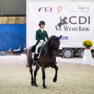 CDI Wroclaw 2023 - autumn