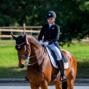 CDI Troisdorf 2023 - autumn