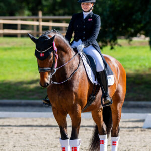 CDI Troisdorf 2023 - autumn