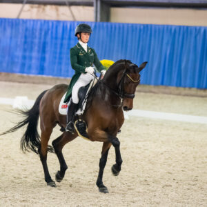 CDI Wroclaw 2023 - autumn